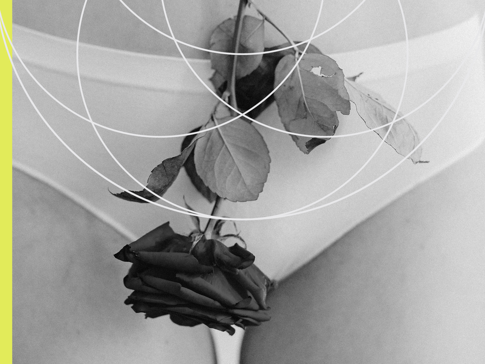 Problemas ginecológicos más frecuentes en la mujer