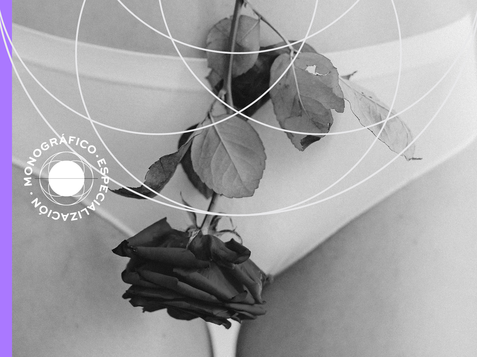 Problemas ginecológicos más frecuentes en la mujer